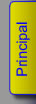 Principal